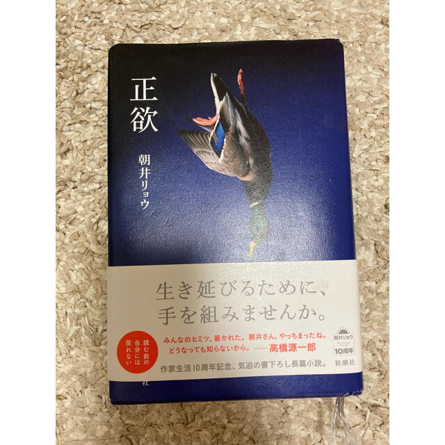 朝井リョウ 正欲 エンタメ/ホビーの本(文学/小説)の商品写真