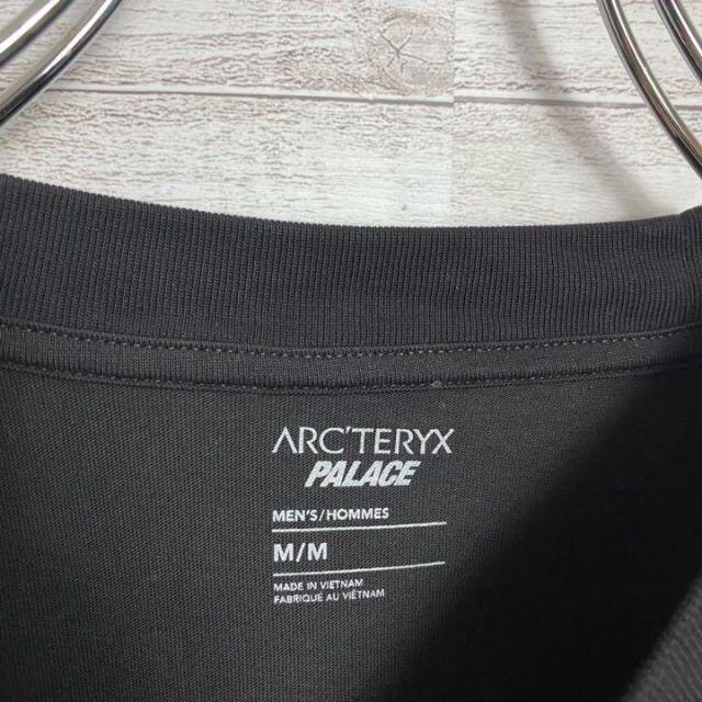 【即完売品】パレススケートボードズ×アークテリクス　コラボ　Tシャツ メンズのトップス(Tシャツ/カットソー(半袖/袖なし))の商品写真