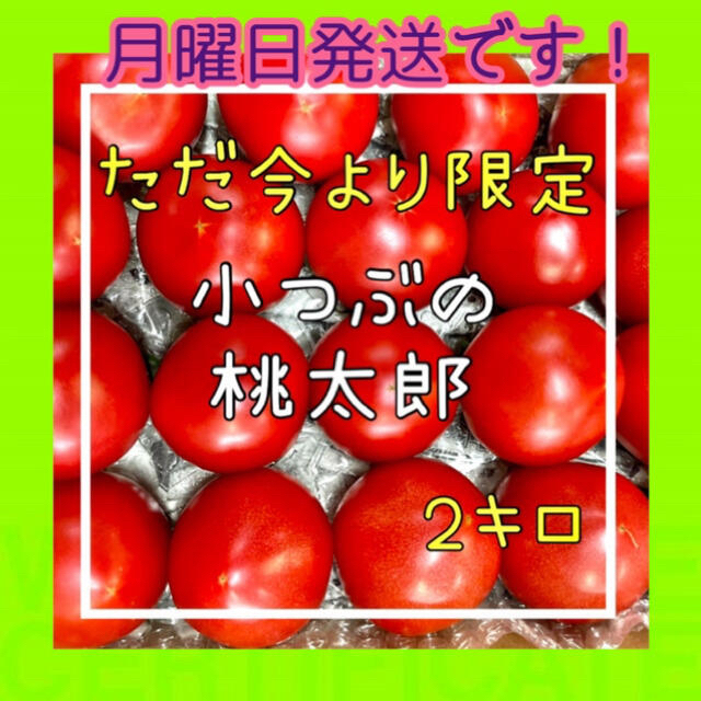 小粒ならではの甘さ‼️桃太郎ファイト2k箱いっぱいにお届け‼️ 食品/飲料/酒の食品(野菜)の商品写真