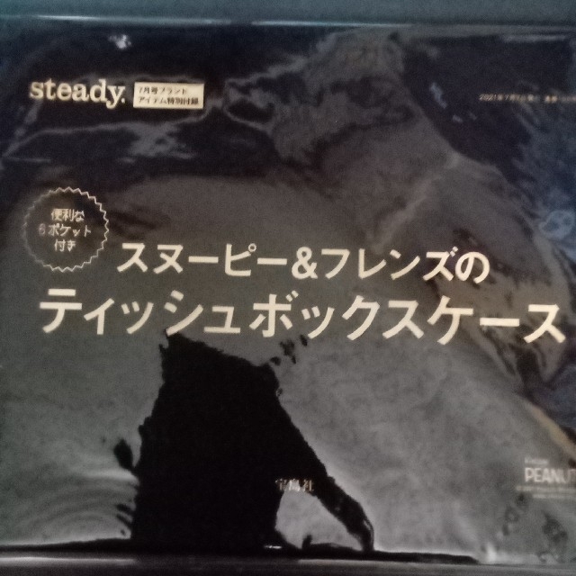 SNOOPY(スヌーピー)のsteady. 7月号 スヌーピー＆フレンズのティッシュボックスケース インテリア/住まい/日用品のインテリア小物(ティッシュボックス)の商品写真