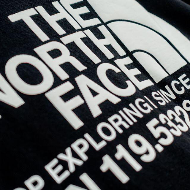THE NORTH FACE(ザノースフェイス)の欧州限定◆21SS◆ザ ノースフェイス　座標Tシャツ黒　UK M 日本M相当 メンズのトップス(Tシャツ/カットソー(半袖/袖なし))の商品写真