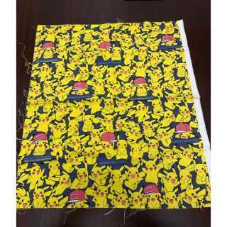 ポケモン 生地 糸の通販 300点以上 ポケモンのハンドメイドを買うならラクマ ポケモン 生地 糸の通販 300点以上 ポケモンのハンドメイドを買うならラクマ