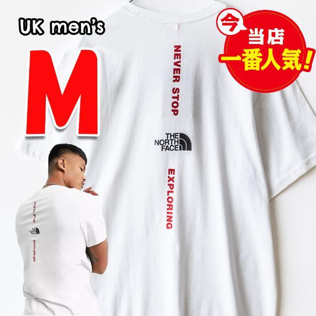 欧州限定◆ザ ノースフェイス バーティカルTシャツ　UK M 日本M相当