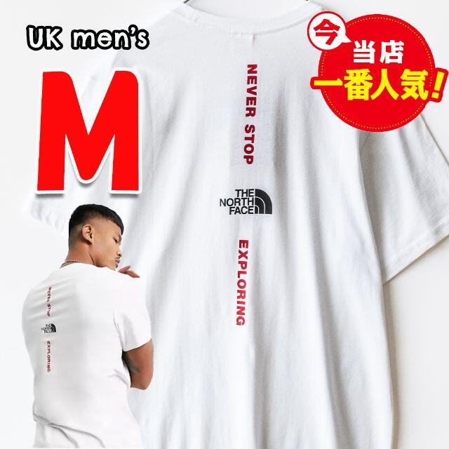 THE NORTH FACE(ザノースフェイス)の欧州限定◆ザ ノースフェイス バーティカルTシャツ　UK M 日本M相当 メンズのトップス(Tシャツ/カットソー(半袖/袖なし))の商品写真