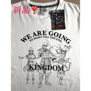 ディズニー(Disney)の【新品・タグ付】キングダム　Tシャツ  サイズMとLサイズもあります❣️(Tシャツ/カットソー(半袖/袖なし))