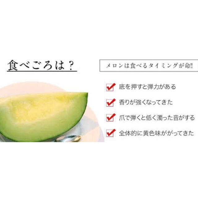 7L訳あり肥後グリーンメロン 食品/飲料/酒の食品(フルーツ)の商品写真