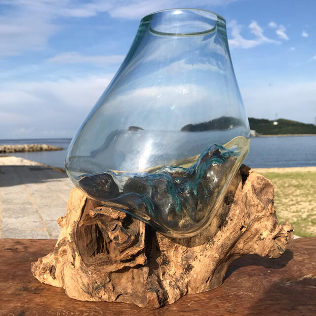 流木ガラス オブジェ特大M 花瓶 金魚鉢 ガーデニング テラリウム 観賞