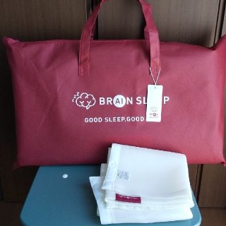 ブレインスリープピロー standard+ ダブルメッシュカバー 2枚 | www