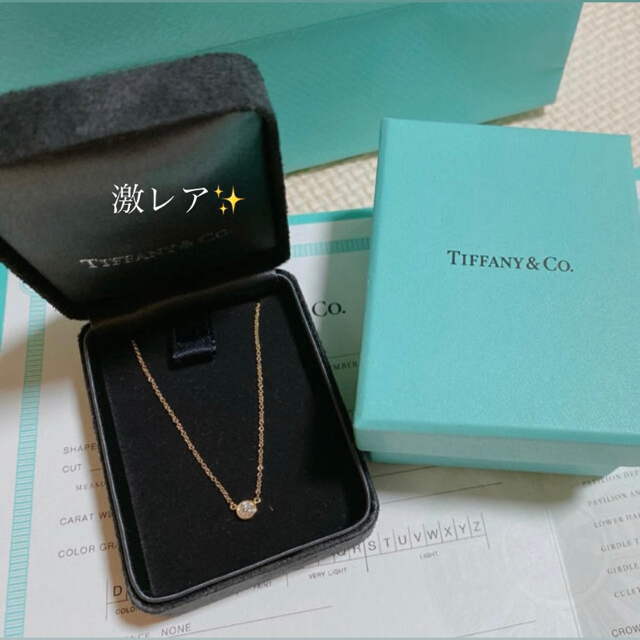 Tiffany & Co.(ティファニー)のレア！Tiffany バイザヤード 0.20ct ネックレス レディースのアクセサリー(ネックレス)の商品写真