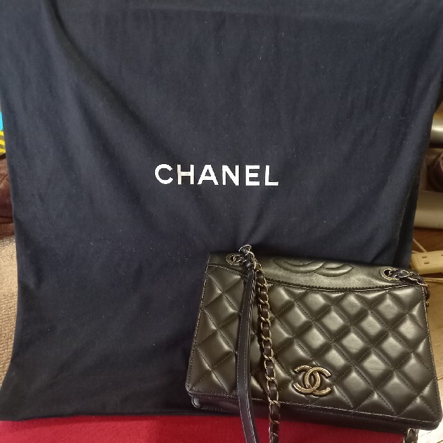 CHANEL(シャネル)のCHANEL保存袋❤️ レディースのバッグ(ショップ袋)の商品写真