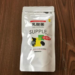 サンコー　乳酸菌　100g(小動物)