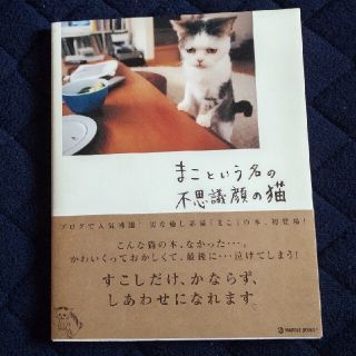 まこという名の不思議顔の猫(住まい/暮らし/子育て)