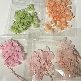 【まとめ買い値引きあり】ドライフラワー　紫陽花　あじさい　⑤(ドライフラワー)