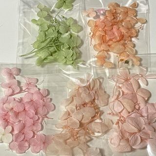 【まとめ買い値引きあり】ドライフラワー　紫陽花　あじさい　⑥(ドライフラワー)