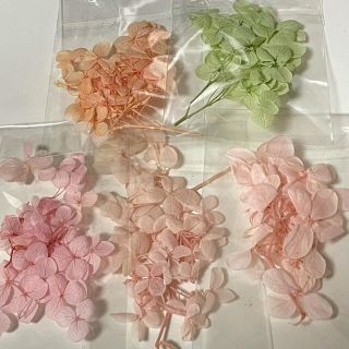 【まとめ買い値引きあり】ドライフラワー　紫陽花　あじさい　⑧(ドライフラワー)