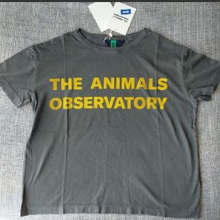 コドモビームス(こども ビームス)のThe Animals Observatory／TAO Tシャツ(Tシャツ/カットソー)