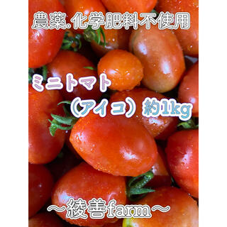 【綾善farm】農薬・化学肥料不使用のミニトマト（アイコ）1kg(野菜)