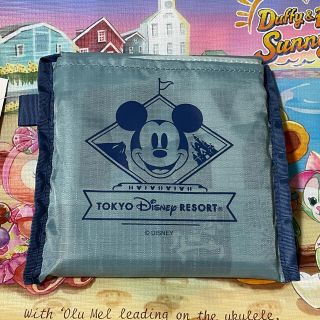 ディズニーリゾート　ショッピングバッグ　新発売(キャラクターグッズ)