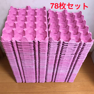 卵パック　紙　　ピンク　78個セット(虫類)