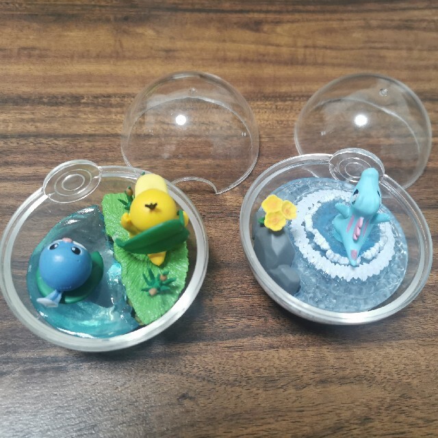 ポケモン ポケモン ポケットモンスター テラリウムコレクション ワニノコ コダックニョロモの通販 by *komari* ポケモンテラリウムコレクション4 テラリウムコレクション ポケモン ワニノコ