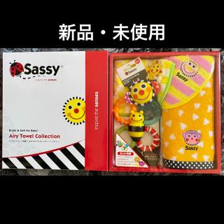 サッシー(Sassy)のpokkkkkiii様　専用(知育玩具)