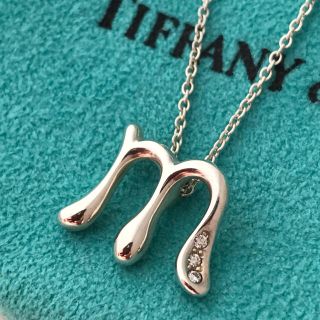 Tiffany\u0026Co ティファニー ラージ レター イニシャル V ネックレス