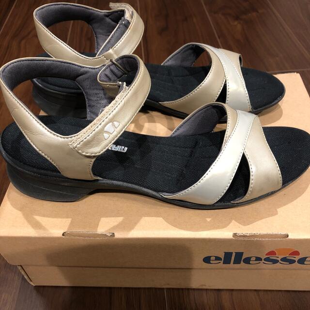 ellesse(エレッセ)のエレッセ　スポーツサンダル　25.0cm レディースの靴/シューズ(サンダル)の商品写真