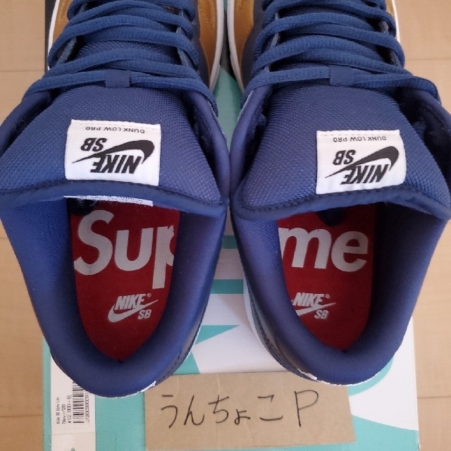 NIKE(ナイキ)のSupreme × Nike SB DUNK LOW28.0cm メンズの靴/シューズ(スニーカー)の商品写真