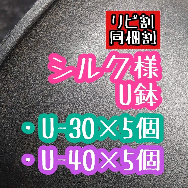 シルク様 U鉢 ハンドメイドのフラワー/ガーデン(その他)の商品写真