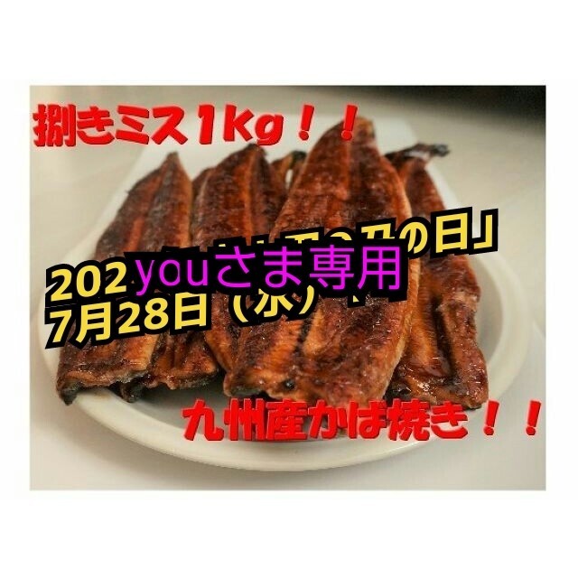 お届け日時指定可！youさま専用 九州産うなぎ蒲焼１㎏（捌きミス・冷凍便）食品/飲料/酒