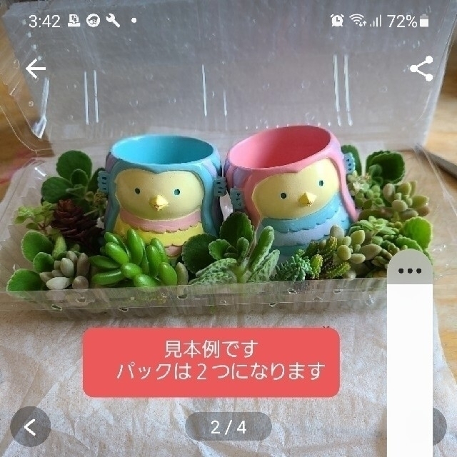 ‼️‼️完売‼️‼️ ハンドメイドのフラワー/ガーデン(その他)の商品写真