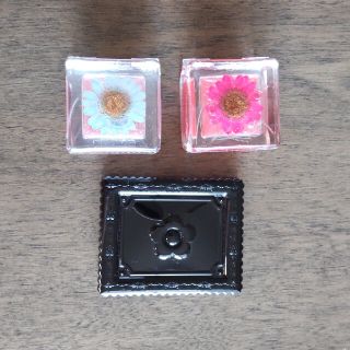 マリークワント(MARY QUANT)の【新品未使用品】MARY QUANT　アイシャドウ&グロス(アイシャドウ)