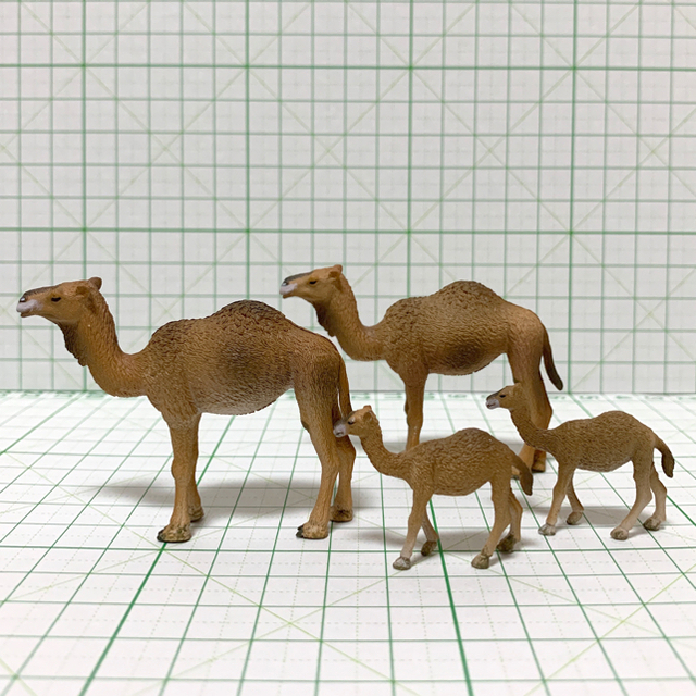 BANDAI(バンダイ)のバンダイ　世界自然動物　サンバー　ラクダ　カンガルー　フィギュア エンタメ/ホビーのフィギュア(その他)の商品写真