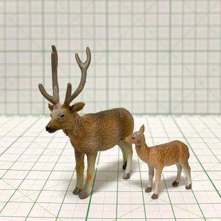 バンダイ(BANDAI)のバンダイ　世界自然動物　サンバー　ラクダ　カンガルー　フィギュア(その他)