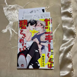 野田のんだ／ヤンキーくんは堕とされたい(ボーイズラブ(BL))