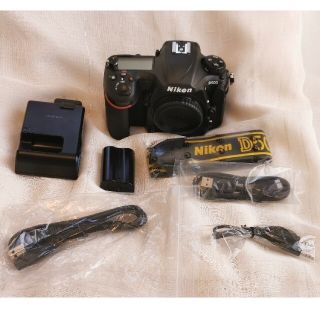 ニコン(Nikon)のNikon D500/ワンオーナー・ショット数4703(デジタル一眼)