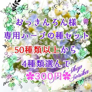 おっきんろん様専用 ハーブの種セット 家庭菜園 野菜(その他)