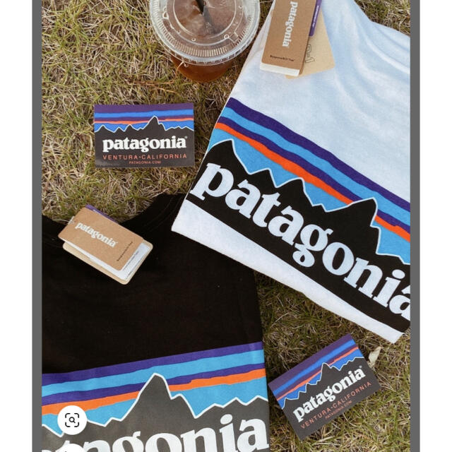 patagonia(パタゴニア)のパタゴニア　Tシャツ レディースのトップス(Tシャツ(半袖/袖なし))の商品写真