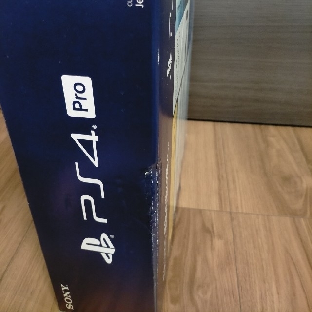 PS4 Pro 本体 1TB 4Ｋ対応+ モンスターハンターアイスボーン