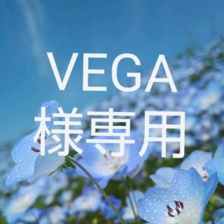 VEGA様専用(その他)