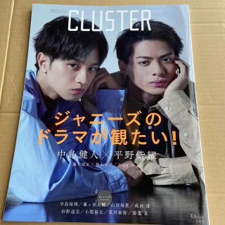 セクシー ゾーン(Sexy Zone)のＣＬＵＳＴＥＲ 俳優たちのグラビアとインタビューをキャッチ！ Ｖｏｌ．１２(アート/エンタメ)