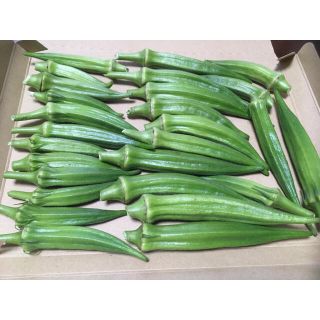 オクラ　野菜詰め合わせ　ネコポス(野菜)