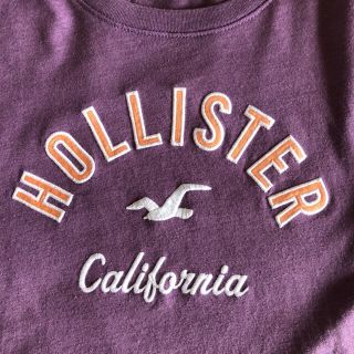 ホリスター(Hollister)のホリスター　レディースTシャツ　M(Tシャツ(半袖/袖なし))