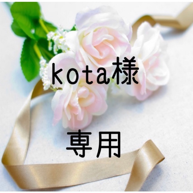 kota  お米　令和２年　愛媛県産コシヒカリ　白米　20㎏