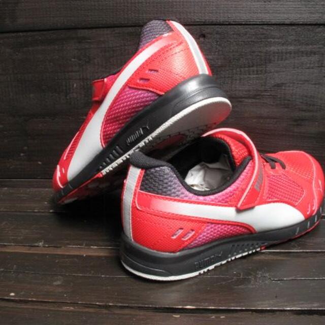 PUMA(プーマ)の新品　puma　23.0㎝ キッズ/ベビー/マタニティのキッズ靴/シューズ(15cm~)(スニーカー)の商品写真