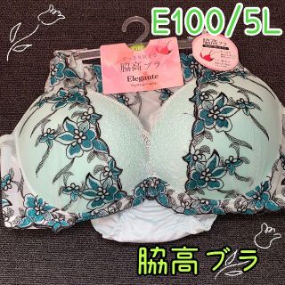 Ｅ１００ ５Ｌ 脇高ブラ 豪華 刺繍 レース ミントグリーン ブルー 下着(ブラ&ショーツセット)