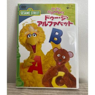 セサミストリート(SESAME STREET)のセサミストリート　DVD (キッズ/ファミリー)