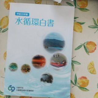 水循環白書 平成３０年版(科学/技術)