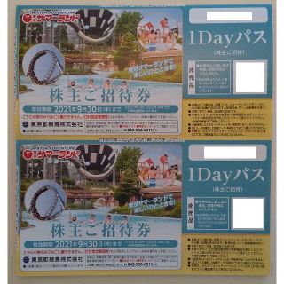 ラクマパック サマーランド 株主優待 2枚(遊園地/テーマパーク)