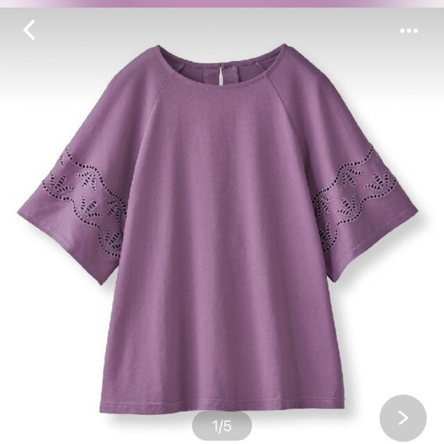 FELISSIMO(フェリシモ)の<新品> フェリシモ　カットワークレースのTシャツ レディースのトップス(Tシャツ(半袖/袖なし))の商品写真